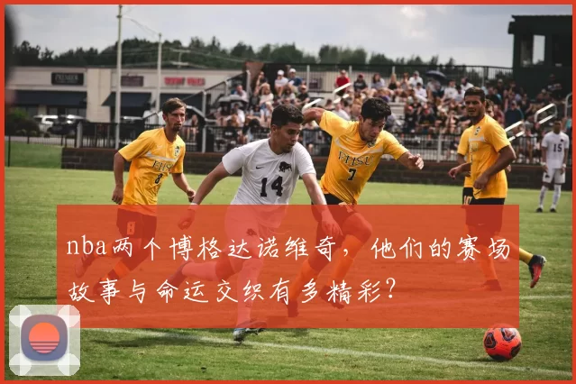 nba两个博格达诺维奇,他们的赛场故事与命运交织有多精彩?