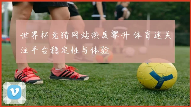 世界杯竞猜网站热度攀升 体育迷关注平台稳定性与体验