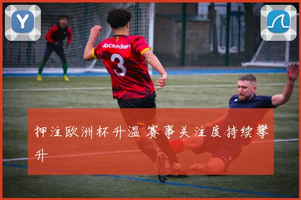 押注欧洲杯升温 赛事关注度持续攀升